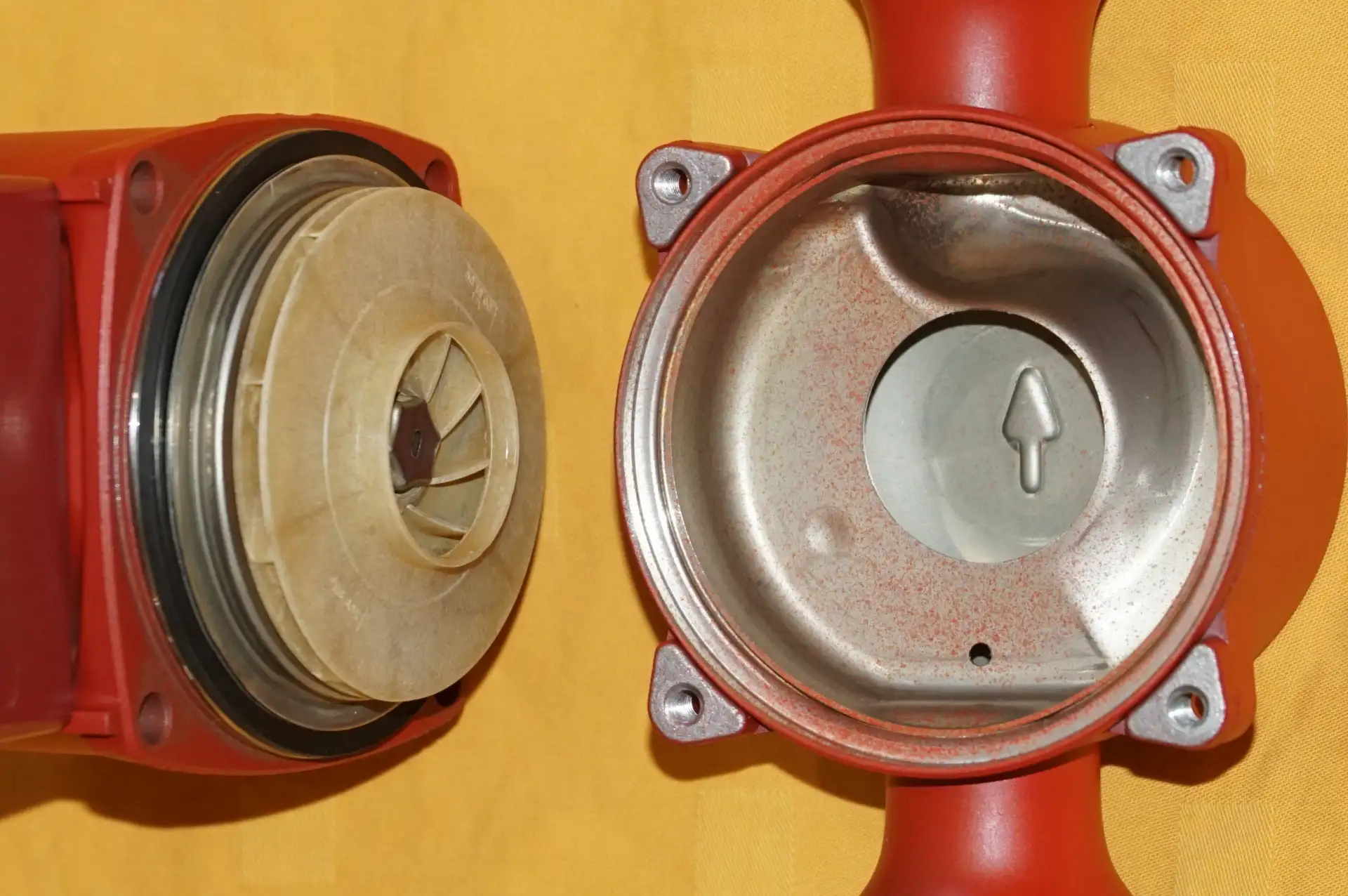 Grundfos UP 20 – 30 N 150mm Zirkulationspumpe Edelstahl – Ansicht 10